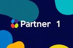 Partner 1